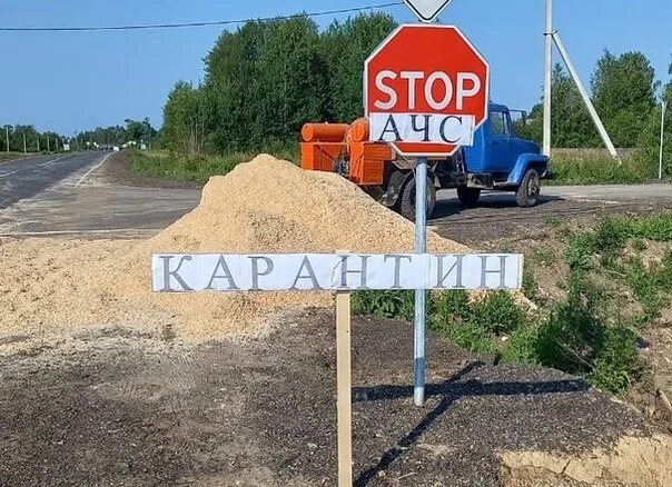 Свиной грипп фото приколы. Африканская чума свиней. Ачс курская область 2024. Ачс курская область 2024. Новоандросово железногорск курская область.