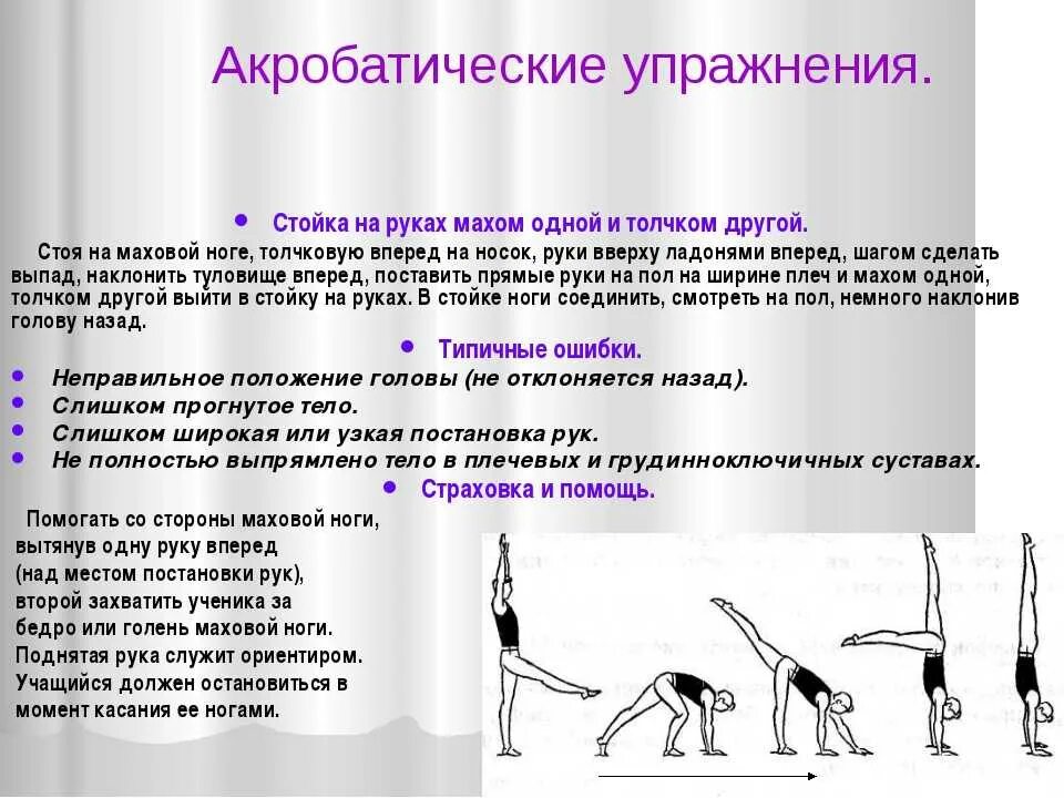 14 основных упражнений