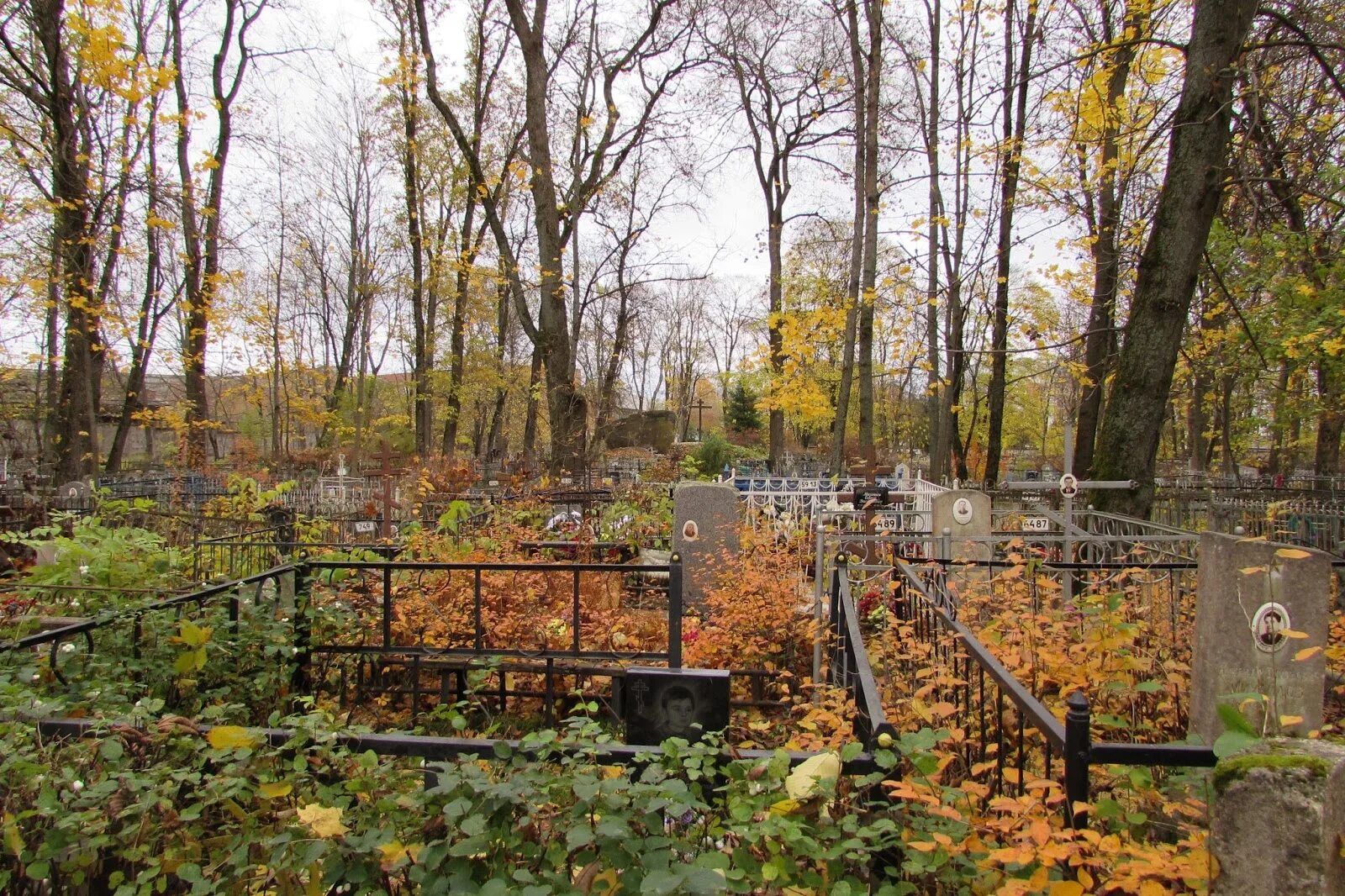 госпитальное кладбище псков. костел успенского кладбища в парголово падлевский. кладбище жен мироносиц в пскове. псков кладбища. псков кладбища.