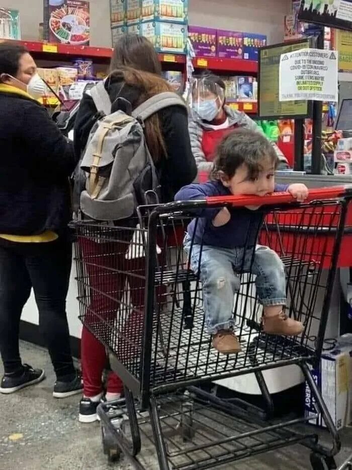 Тасиро остров кошек. Слова для написания цели. Слова для написания задач. Немало нимало. Изрядно много.