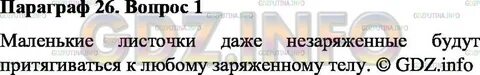 Параграф 26 ответы на вопросы