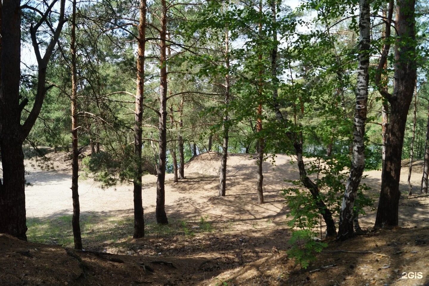 Поселок солотча. Солотча рязань. поселок солотча рязанская область. green park солотча. грин парк солотча рязань.