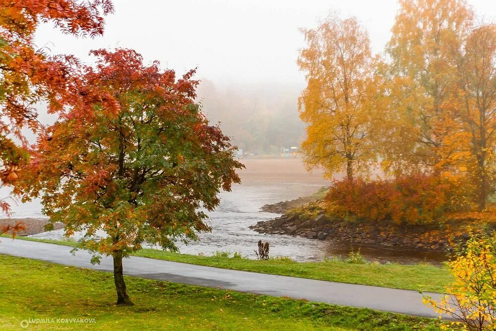 Autumn actually came to Petrozavodsk. September 26, 2023. 2023 Весь Петрозаводск