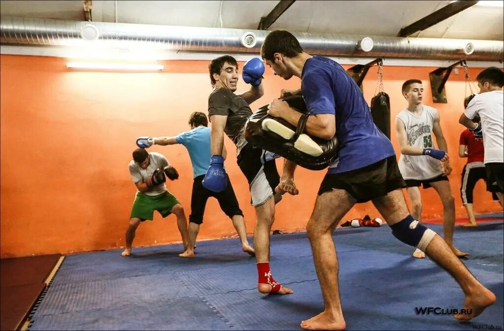 Мишалов алексей самбо. Зал дзюдо. Алексей писаренко самбо. Залы боевого самбо. Единоборства фото.