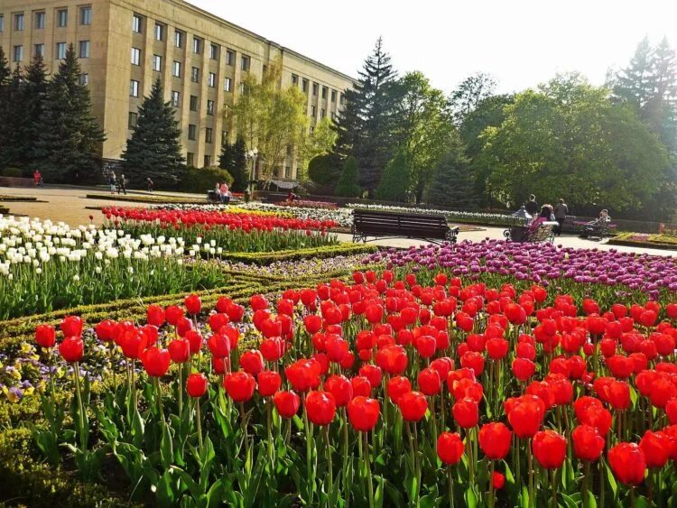 Наш замечательный город. Ставрополь на ПМЖ. Замечательный город. Ставрополь отзывы. Ставрополь отзывы переехавших.