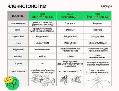 Сравнительная характеристика членистоногих 7 класс