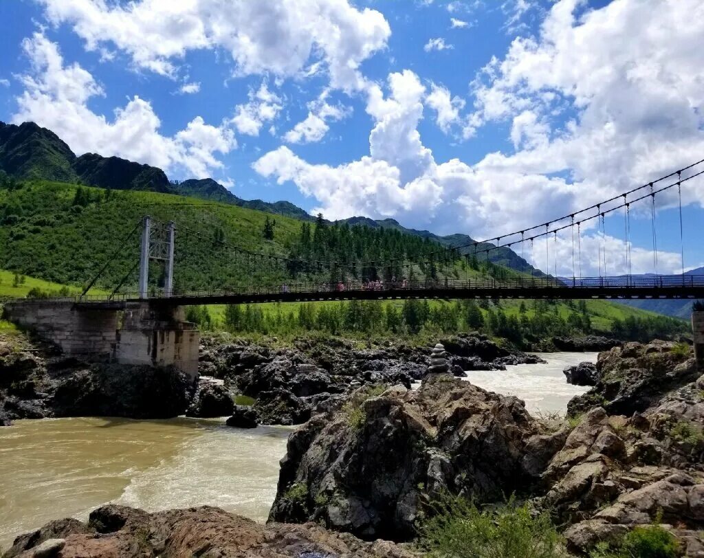 мост цаплина алтай. чемал ороктойский мост горный алтай. мост в горном алтае. ороктойский мост горный алтай. река катунь ороктойский мост.
