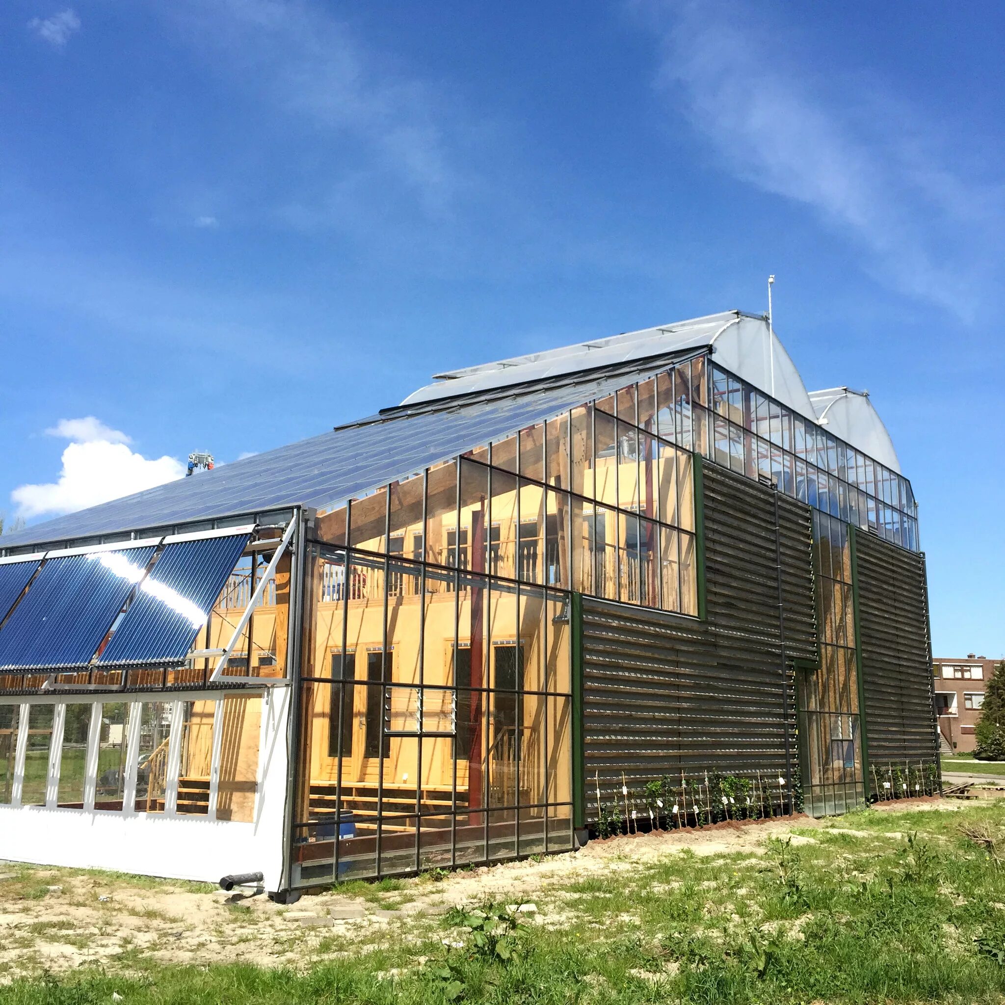 Дом теплиц отзывы. ЭКОДОМ теплица в Швеции. Green House веранда оранжерея. Дом в теплице Швеция. Грин Хаус Роттердам.