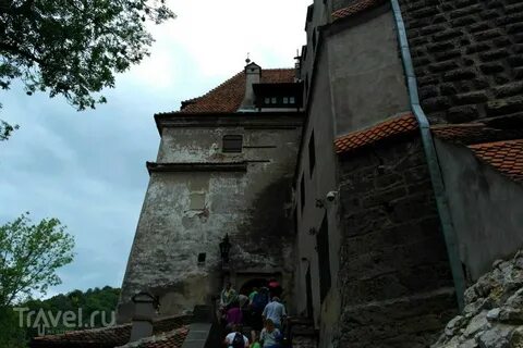 Браний