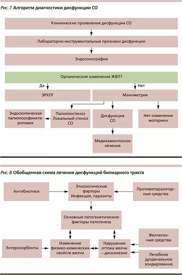Что есть перед дуоденальным зондированием