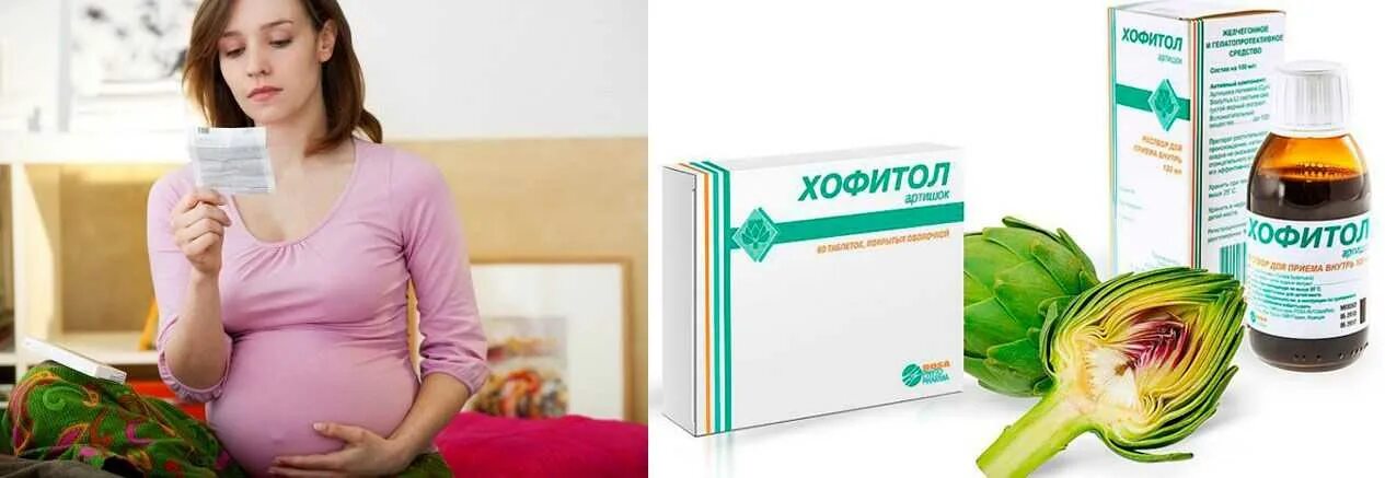 Таблетки хофитол показания. Холифол. Хофитол 1 миллилитр. Препарат для печени хофитол. Хофитол 60 таблеток.