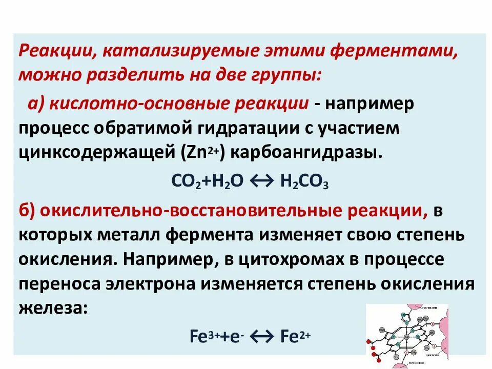 Ферменты катализирующие реакции