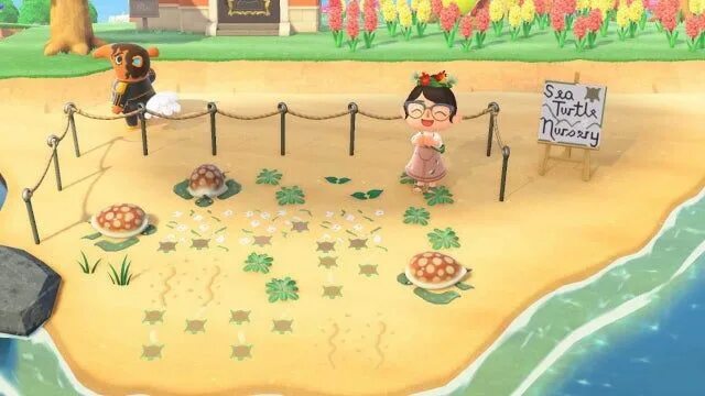 Little area. Беби Хатч. Animal Crossing Turtle.