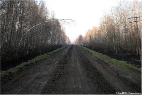Погода ленинка абатский тюменская область