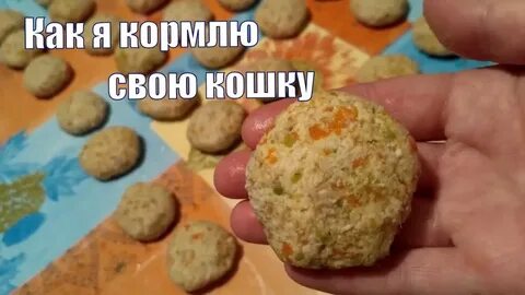 Кошачий рецепт