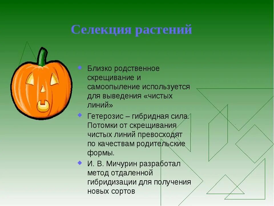 Выведение чистой линии растений методом. Селекция. селекция растений. селекция растений и животных презентация. основы селекции растений животных и микроорганизмов.