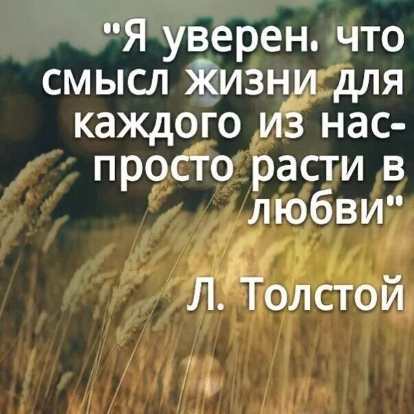 Как искать смысл жизни. О смысле жизни. В чем смысл жизни. Цитаты со смыслом о жизни. Цитаты про жизнь.