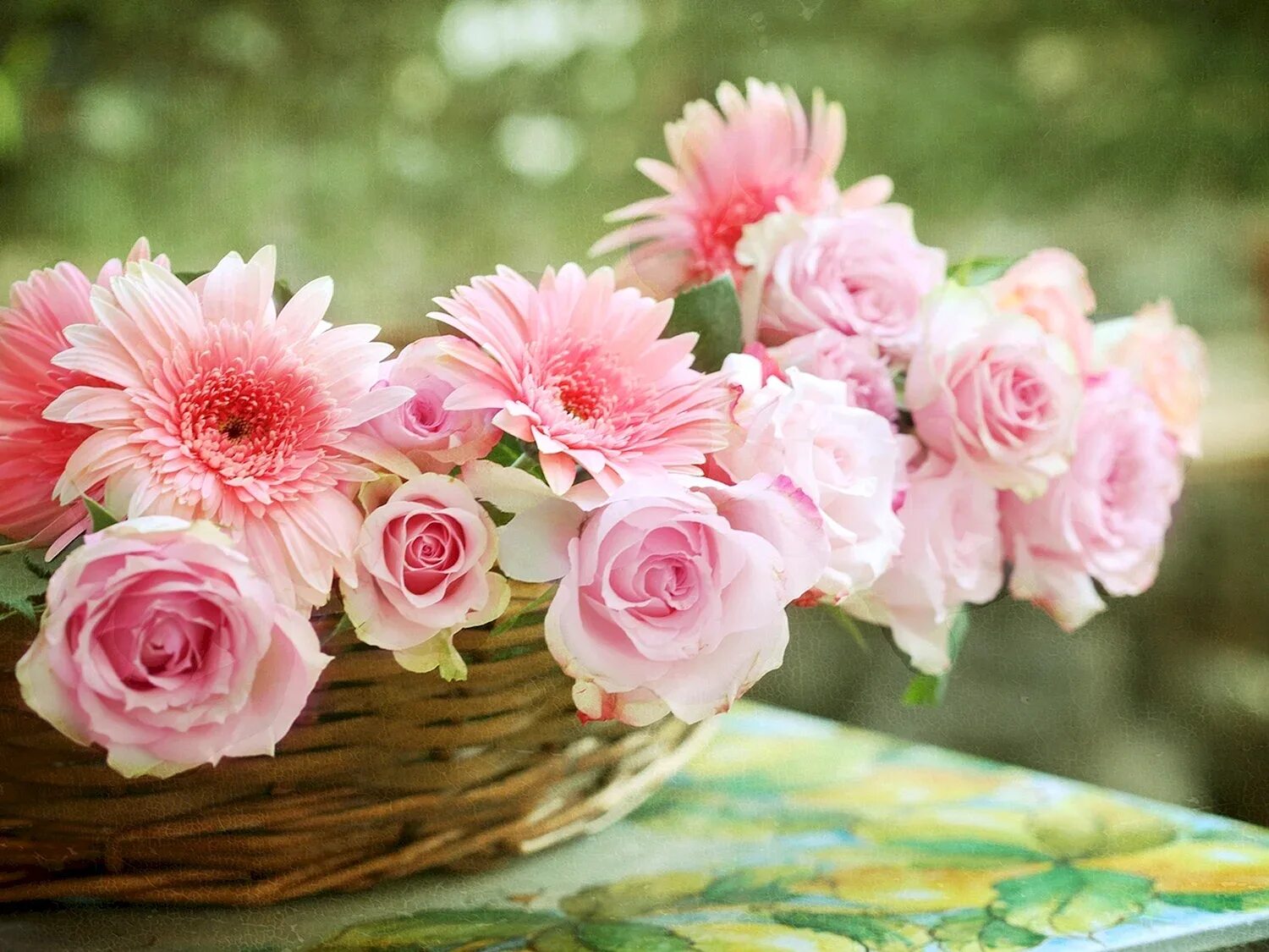 Благословенного доброе утро картинки с надписью. Красивые цветы. Нежный цветок. Нежные прелестные цветы. Нежный букет на день рождения.
