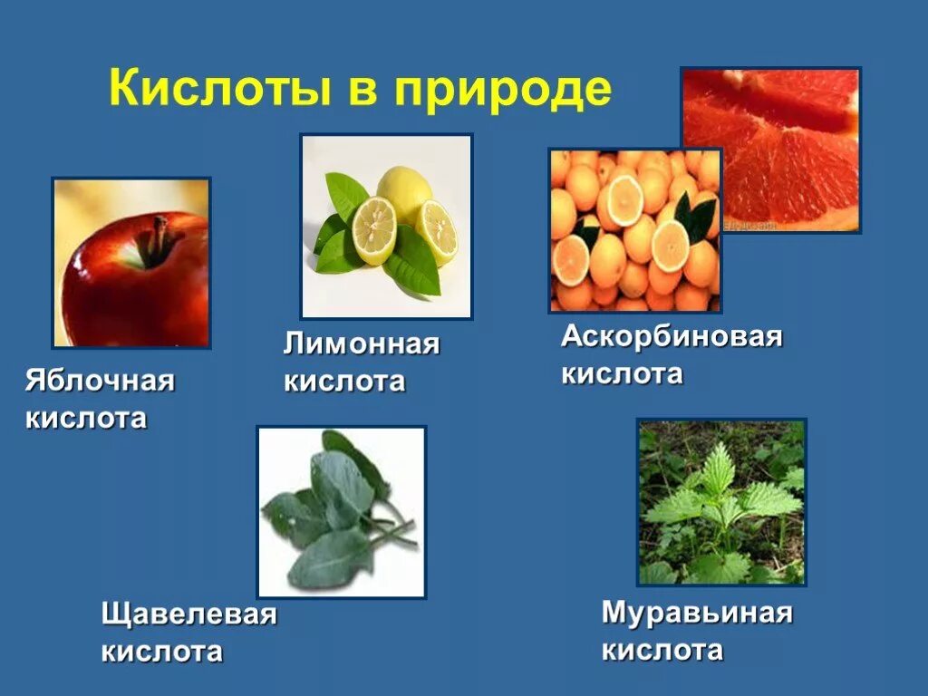 Кислоты в природе. Органические кислоты в природе. Слайды на тему кислоты в природе. Кислоты встречающиеся в природе. Природные кислоты природные щелочи