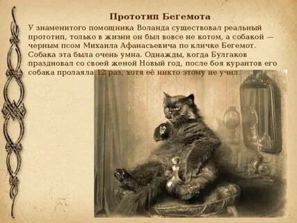 Как звали кота в мастер