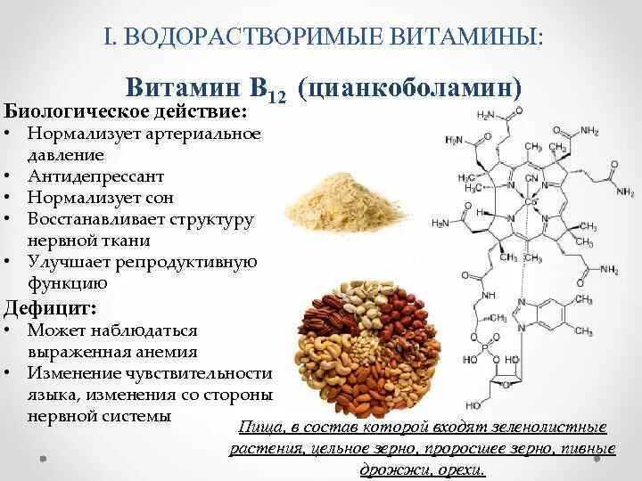 B 12 функции