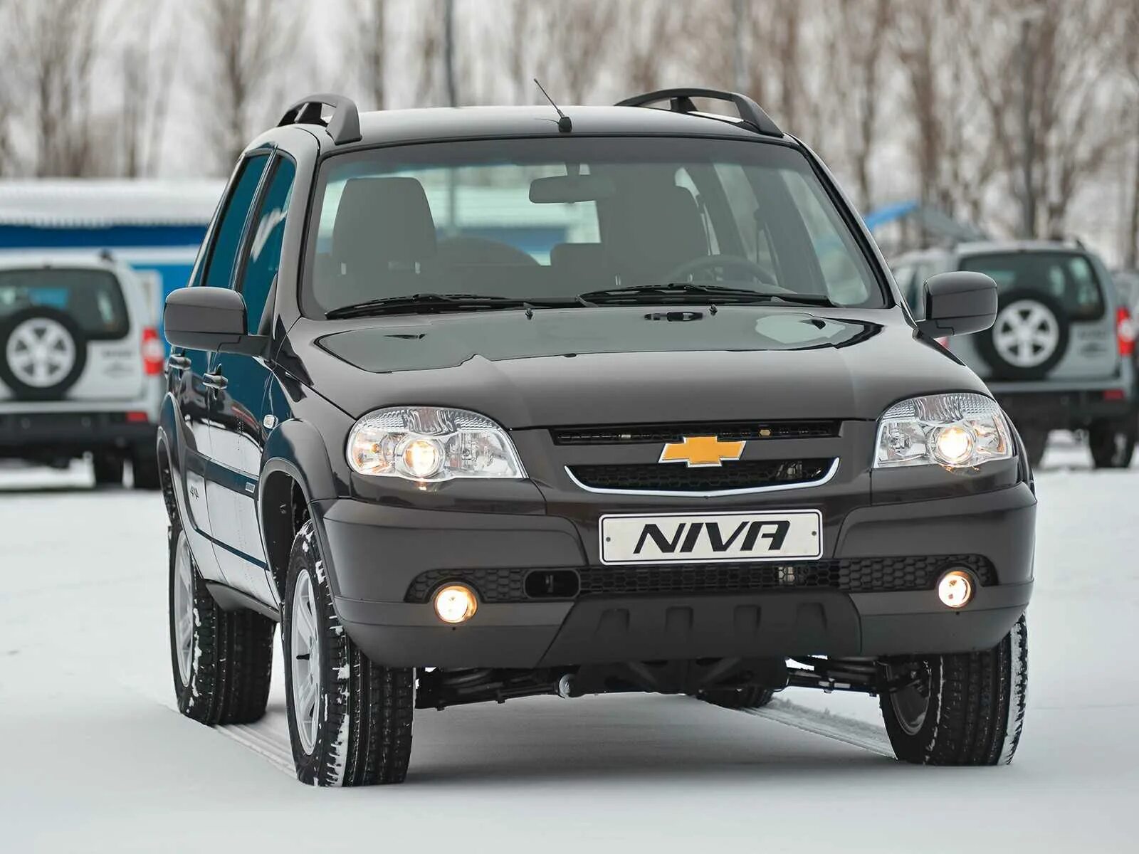 Сколько стоит шеви. Chevrolet Niva. Chevrolet Niva 2018. Нива Шевроле 2019. Шевроле Нива 1.