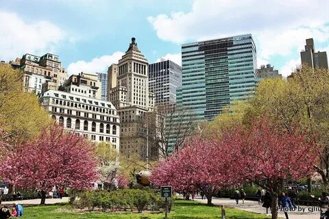 Battery park