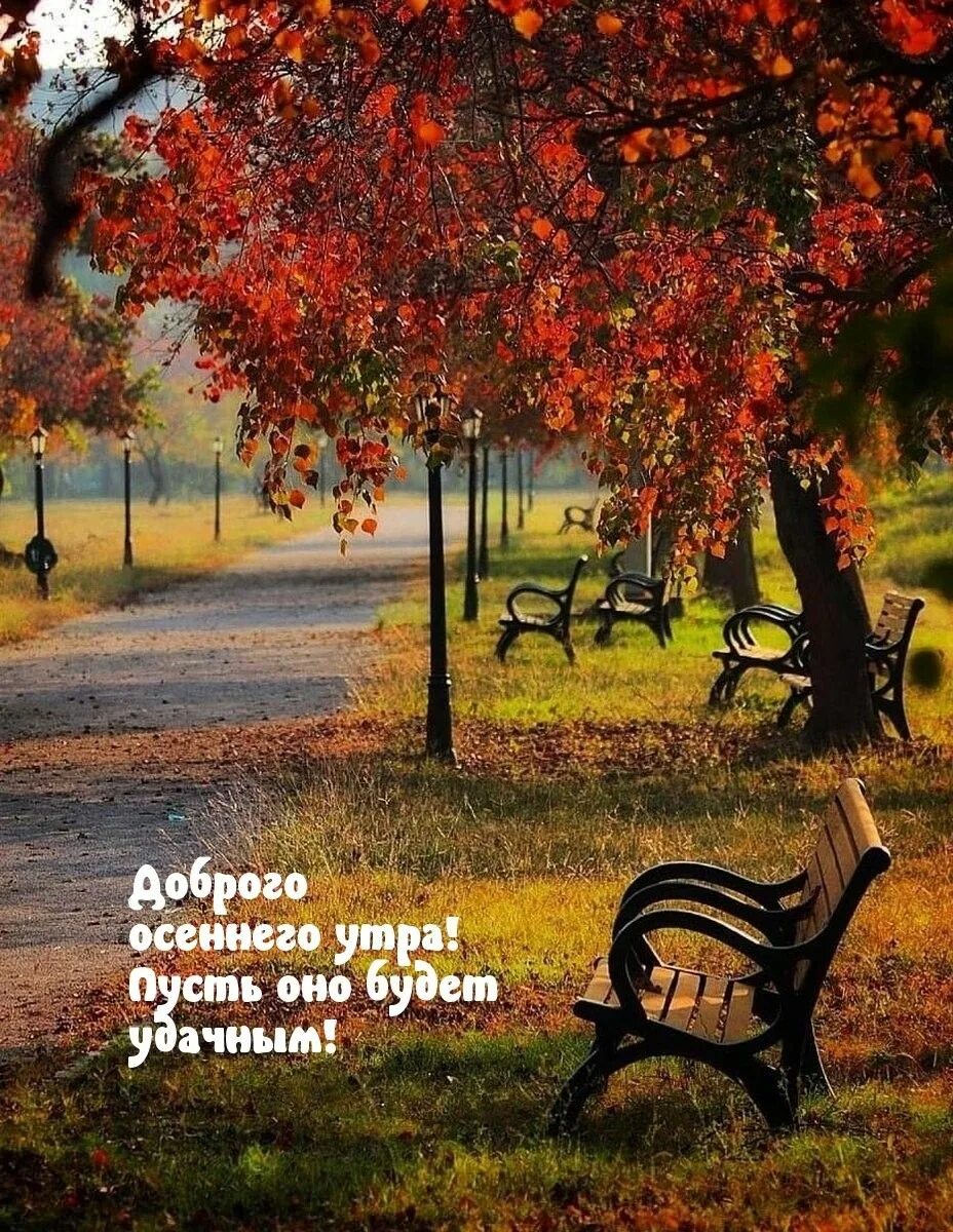 С добрым утром картинки осенние новые природа. Прекрасной вам осени. осень добрая и красивая. осень картинки красивые на телефон. разная осень.