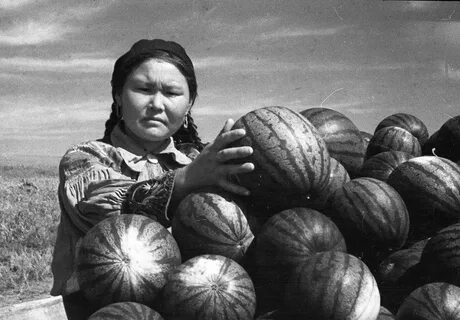 Огородники сибири