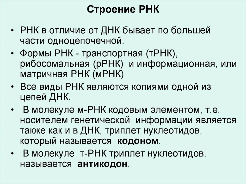 Строение молекулы РНК кратко. РНК строение и функции. Типы РНК строение. Особенности строения РНК.