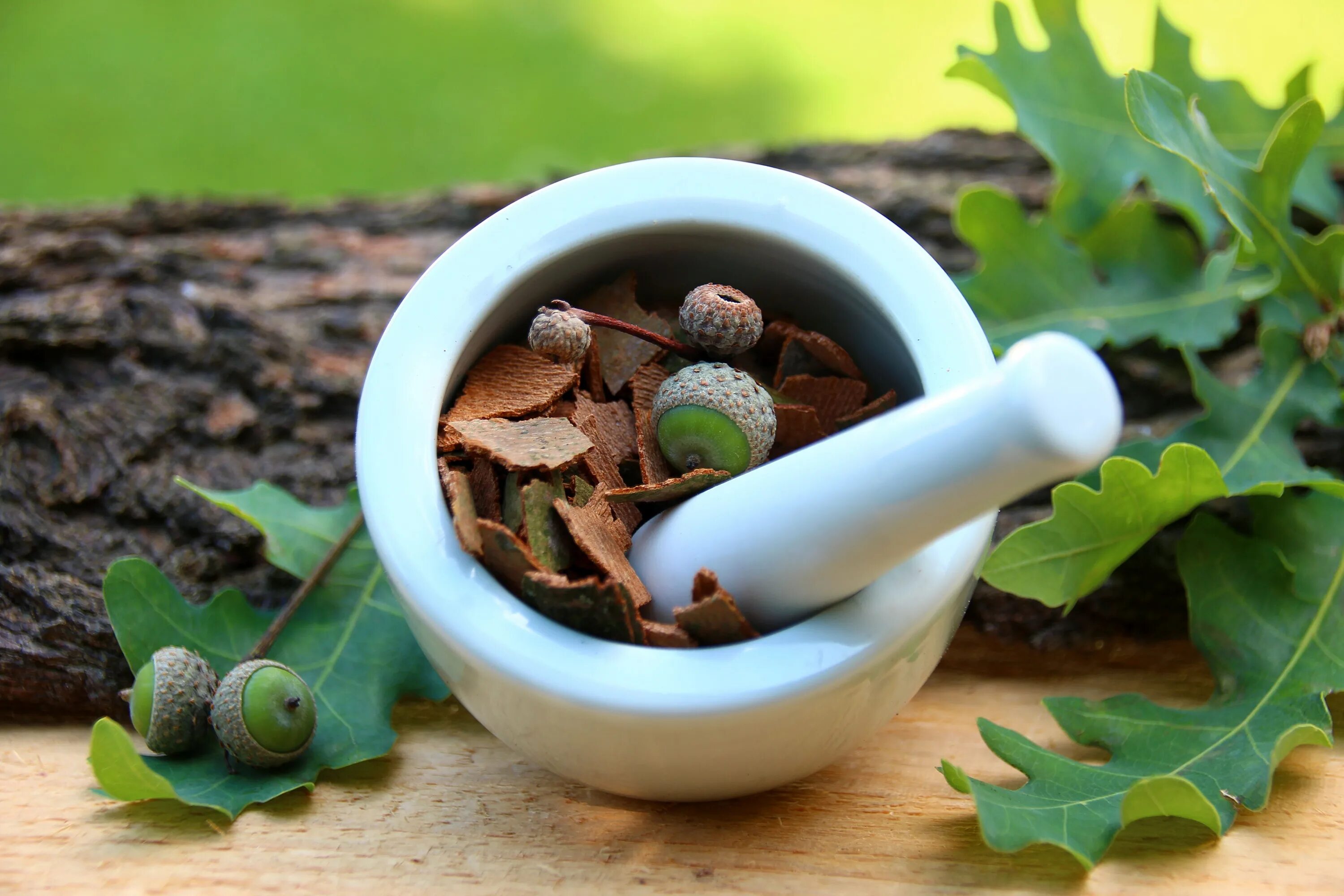 Fitobar osimlik Dorisi. Композиция в бокале с корой дуба. Medicinal Plants.