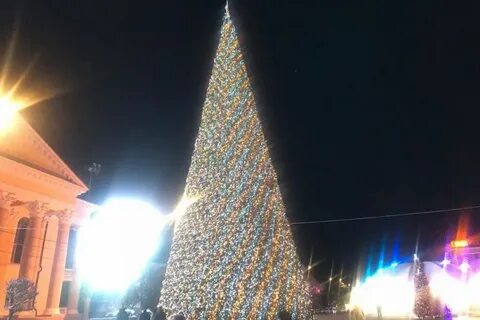 Ели ставрополь