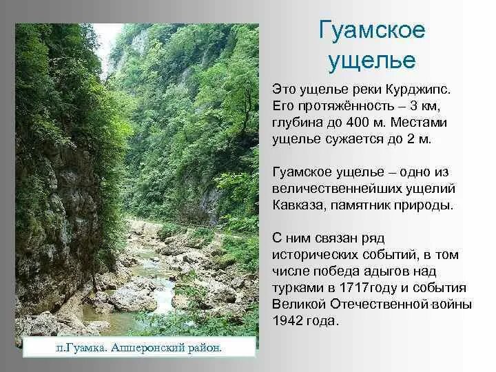 Достопримечательности краснодарского края кубановедение. Река курджипс гуамское ущелье. гуамское ущелье в краснодарском достопримечательности. растения гуамского ущелья. растения в гуамском ущелье.