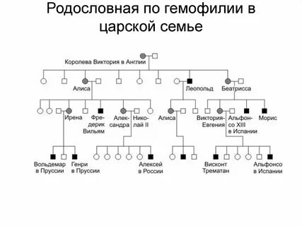Гемофилия схема