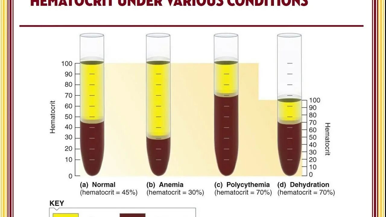 Гематокритная величина. 4. Определение глобулярного объема крови. Методы определения гематокрита. Гематокрит hct норма.