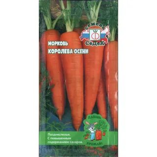 Морковь сорт королева осени отзывы
