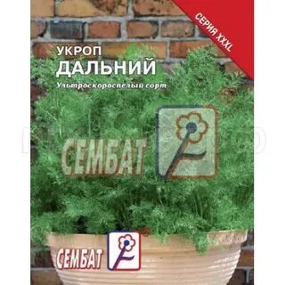 Далекий 20
