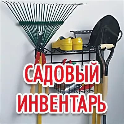 Садовый центр розмарин череповец. Розмарин череповец каталог товаров садовый центр. розмарин череповец. адреса садового центра розмарин череповец. наседкина 2 череповец розмарин.