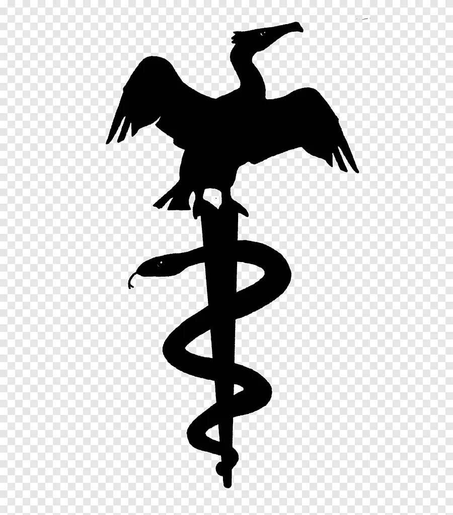 Стилизованные женские силуэты. Черное белое логотип. Логотипы силуэты. Silhouette логотип. Логотипы силуэты.