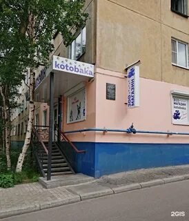 Котобака интернет магазин мурманск
