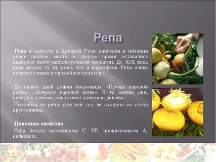 Репа овощ рецепты