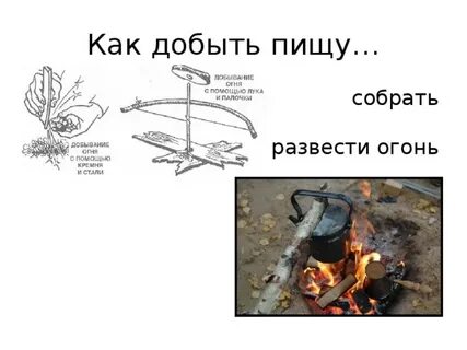 Способы добывания еды