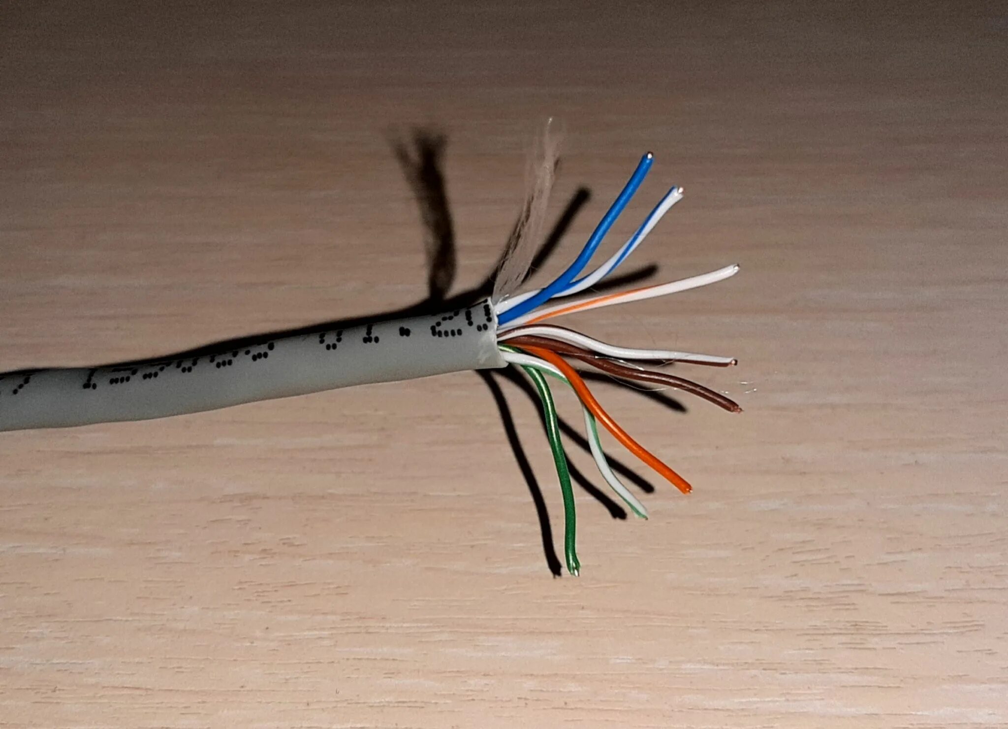 5e 4х2х24awg ldpe трос 1,2мм (305м). Кабель витая пара utp cat6. Кабель cat 5e бухта. Proconnect utp 01-0052. Бухта 305 метров витая пара.