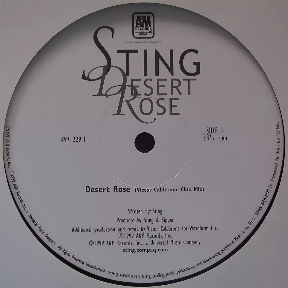 Sting перевод. Sting молодой. Sting 1990. Музыка sting desert rose. Музыка sting desert rose.