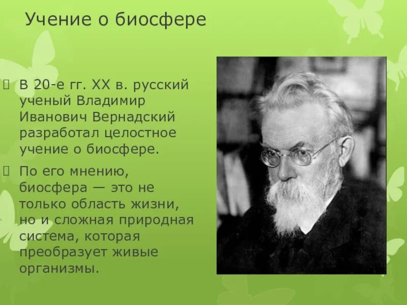 Живым веществом вернадский называл