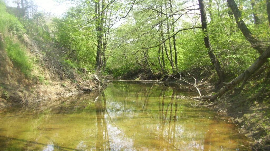 Пгт Ильский Краснодарский край. Краснодарский край Северский район станица Ильская. Пгт Ильский Северский район Краснодарского края. Ильский Краснодарский край речка.