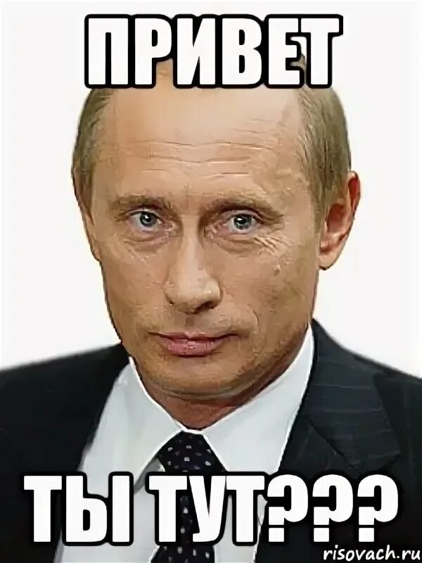 Привет я твой единственный зритель паста. Путин мемы. путин привет мем. мемы с путиным с надписями. мем тут с путиным.