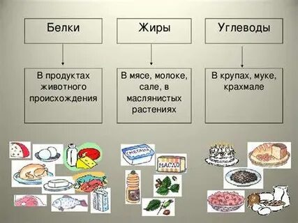 Чем добрать белок в рационе без жира