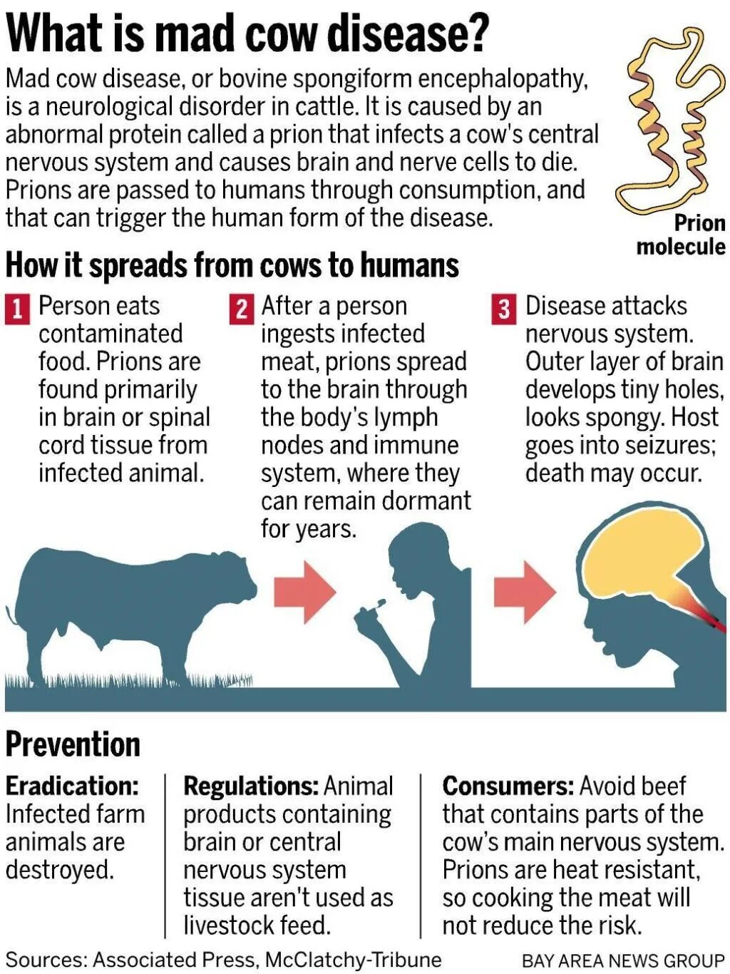Mad cow disease перевод. Бешеная корова. Cow disease. Cow disease. Cow disease.