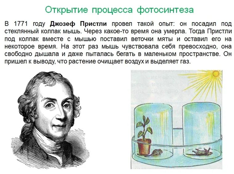 Эксперимент по английски
